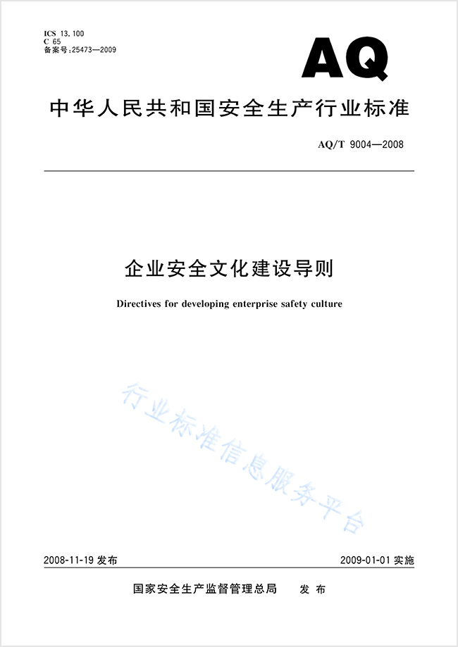 企业安全文化建设导则（AQT 9004-2008）.pdf